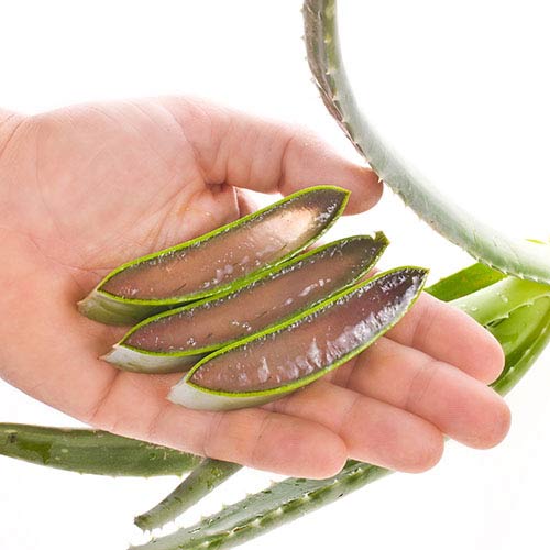 Trị Sẹo Lồi Bằng Những Cách Tự Nhiên Nào?