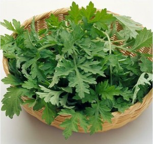 BẠN ĐÃ BIẾT CÁCH TRỊ SẸO LỒI HIỆU QUẢ?