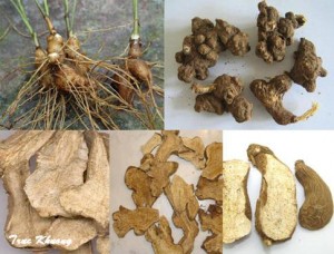 PHƯƠNG THUỐC ĐẮP TRỊ TÀN NHANG