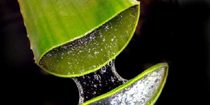 Tuyệt Chiêu Trị Sẹo Rỗ Siêu Hiệu Quả Từ Thiên Nhiên