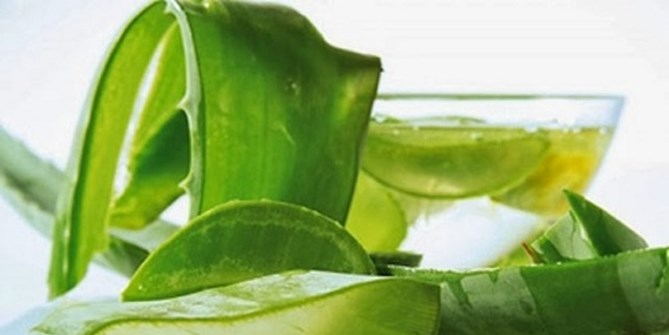 Bất ngờ với 6 cách trị sẹo lồi từ thiên nhiên